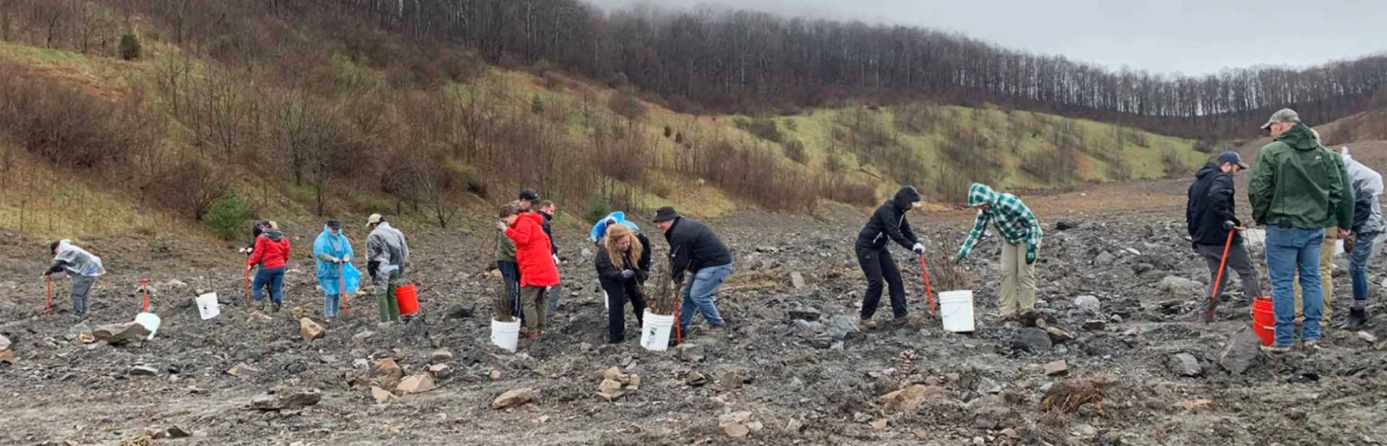 conservation partners reforest former mines